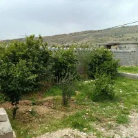 باغ بابامیدان