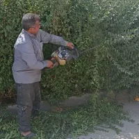خدمات باغبانی سمپاشی هرس وگل کاری سم پاشی شمشادزنی