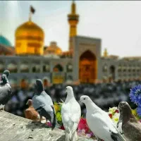 تور کاروان زیارتی مشهد مقدس