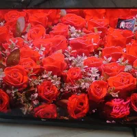 تلویزیون جی پلاس 50اینچ