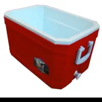 کلمن 60ل لیتری