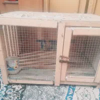 جفت کن