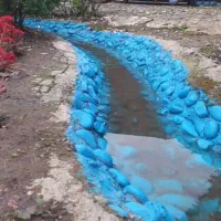 خونه باغ|فروش خانه و ویلا|رشت, حومه رشت|دیوار