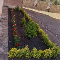 خدمات باغبانی باغچه کاری کاشت گل وگیاه خاک گلدون