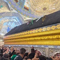 همسفر خانم برای مشهد