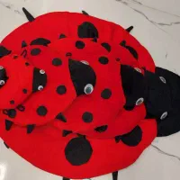 سرویس کفشدوزک جذاب