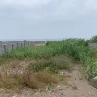 زمین ساحلی  منطقه آزاد انزلی