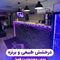 سولار دل
