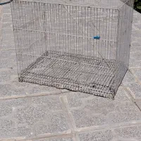 قفس پرنده