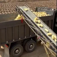 اندیشه سازان صنعتی نوین اجر ی پایدار، گری سازان