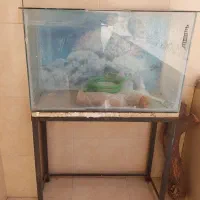 آکواریم