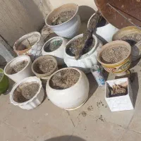 گلدان
