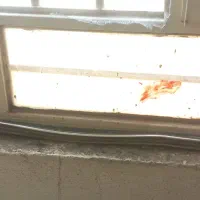 قطعه