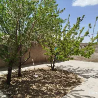 ویلایی دربست در محدوده فردوسی