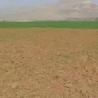 زمین کشاورزی دیم فروشی