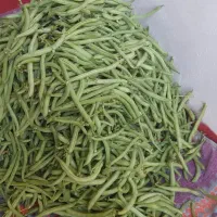 لوبیا سبز|خوردنی و آشامیدنی|سنندج, |دیوار