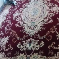 قالی|فرش|جیرفت, |دیوار
