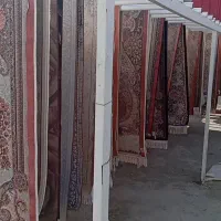 قالیشویی۵عدد۱عدد برتر