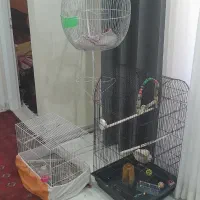 فروش قفس پرنده