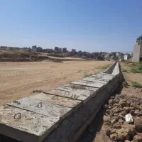 فیش-ندامتگاه