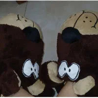 پاپوش سگ