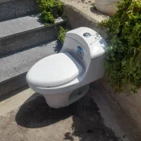 سنگ سرویس
