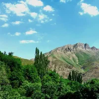 زمین