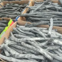 ذغال کبابی وقلیانی فقط عمده