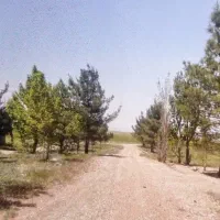 اجاره-زمین-باغی