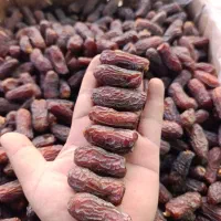 فروش خرما زاهدی در فارس
