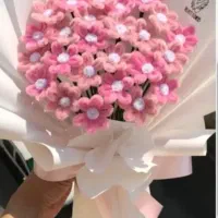 گل های مخمل پیپ پاک کن