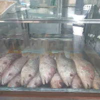 جذب نیروی کار ساده و حرفه ایی