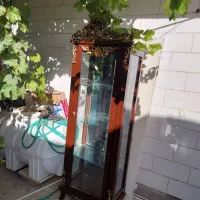 بوفه  ایستاده در حد