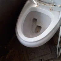 تو...فرنگی|لوازم سرویس بهداشتی|مشهد, شهرک بهارستان|دیوار