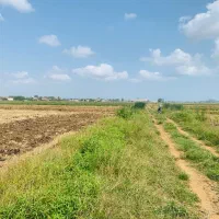 4500 متر شالیزار دارای سند ابیاری