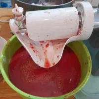 یک دستگاه،۲کاره،چرخ‌گوشت + رب‌گیر،صنعتی و خانگی