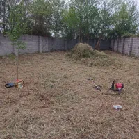 خدمات چمن زنی و باغبانی، علف زنی به همراه سم پاشی
