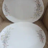 دیس برنج خوری