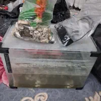 اکواریم