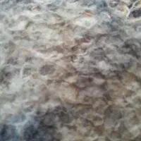 سیم کارت ایرانسل ظمانتی