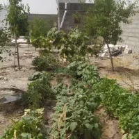 باغ-مجتمع-لاله-ها-دولت-آباد