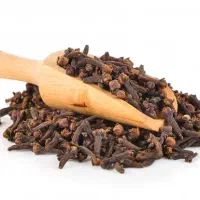میخک بسته بندی عمده