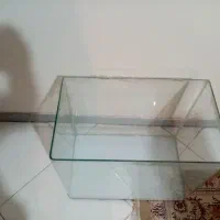 اکواریوم