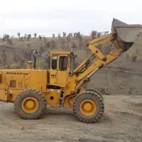 برگ سبز لودر و گریدر