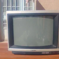 تلوزیون