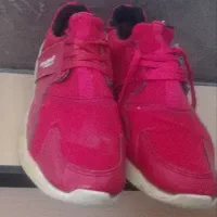 کفش|کیف، کفش، کمربند|بروجرد, |دیوار