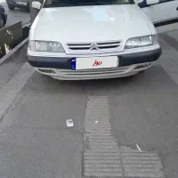 زانتیا سفید در حد