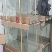اکواریوم شیشه خم