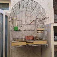 قفس پرنده