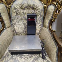 ترازو دیجیتال پند px3000